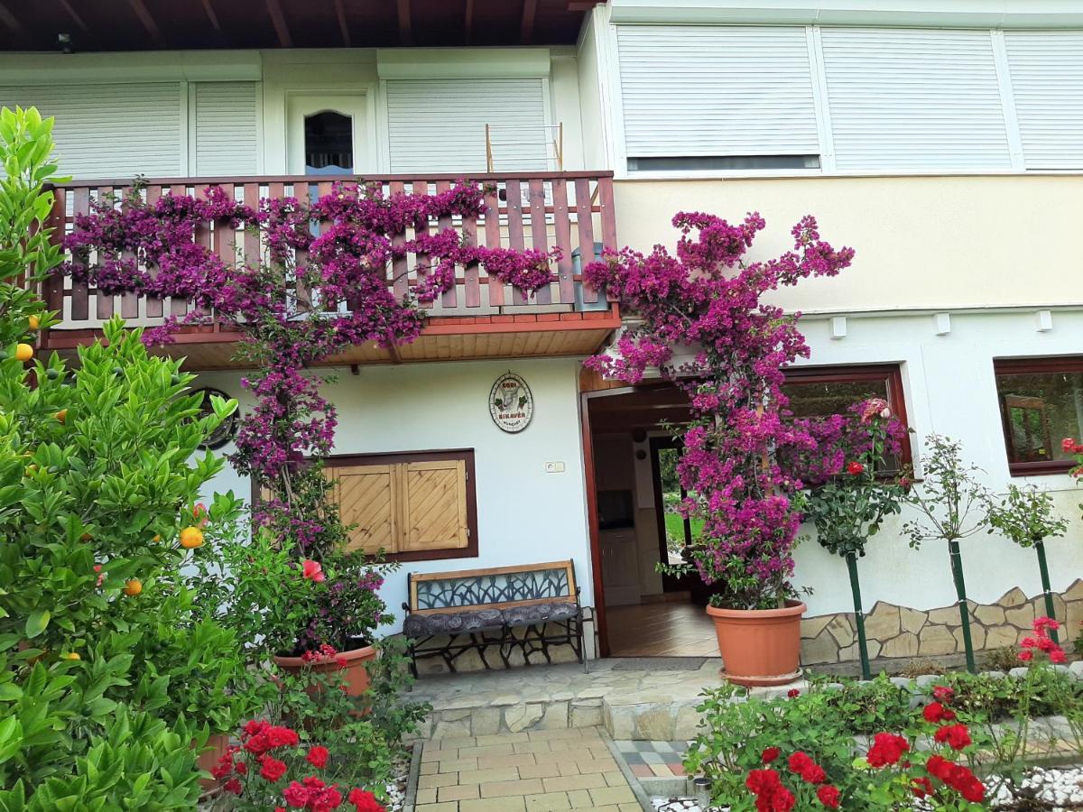 Rózsakert Vendégház Szigliget Extérieur photo