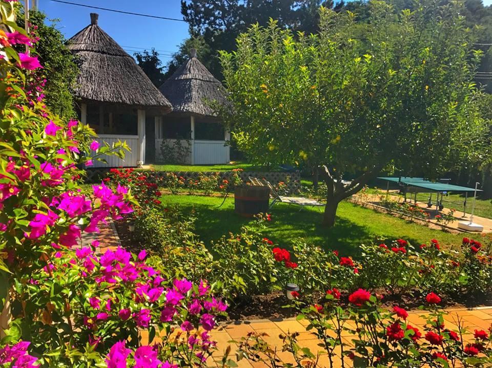 Rózsakert Vendégház Szigliget Extérieur photo